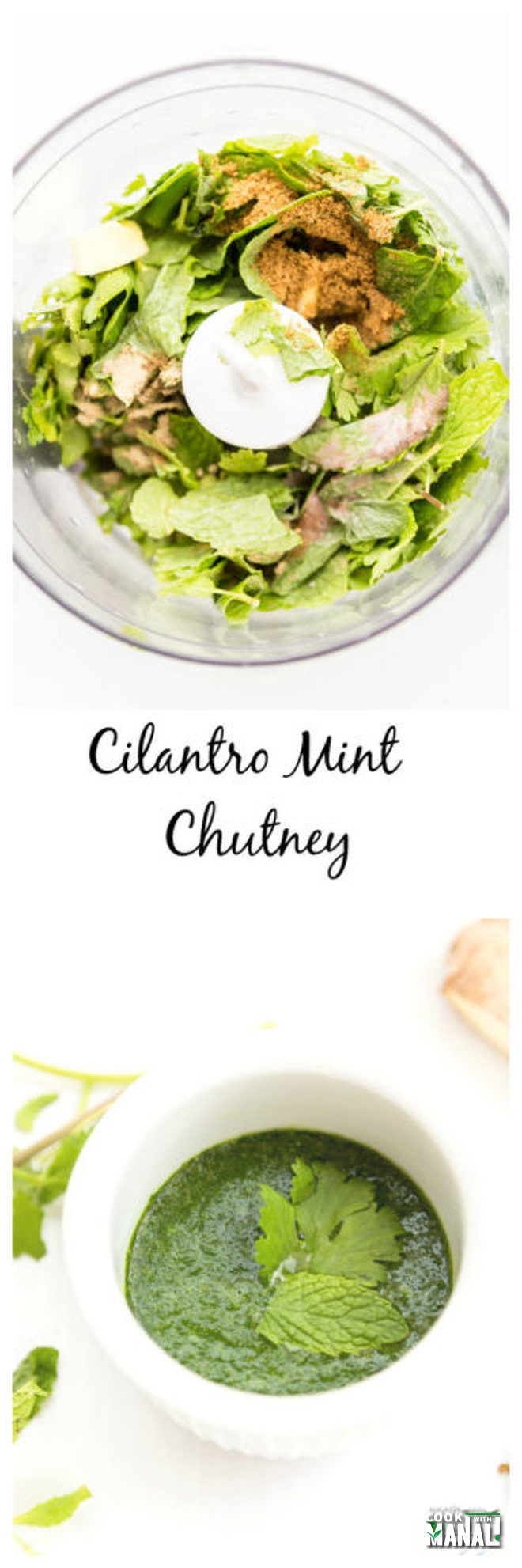 Cilantro Mint Chutney - Cook With Manali