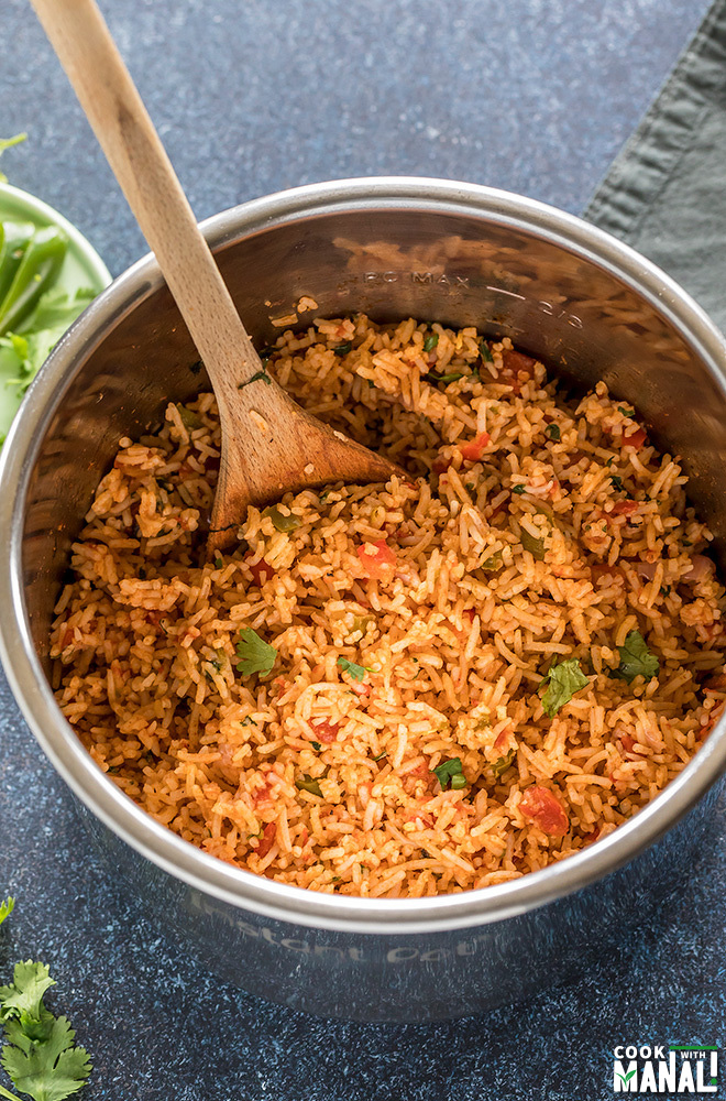 Instant Pot Brown Rice - Cook With Manali