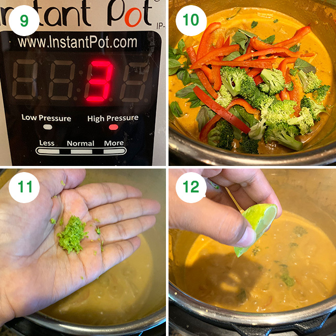https://www.cookwithmanali.com/wp-content/uploads/2019/09/Instant-Pot-Vegan-Panang-Curry-Recipe-Step-3.jpg