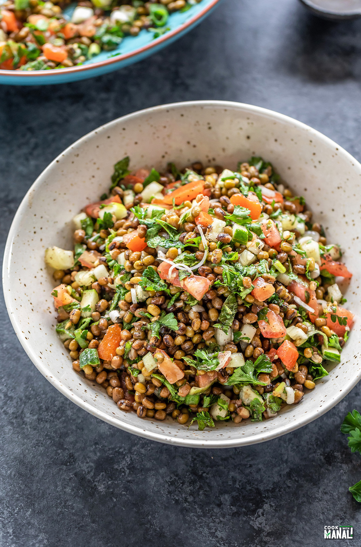 https://www.cookwithmanali.com/wp-content/uploads/2021/08/Lentil-Tabbouleh-Salad.jpg